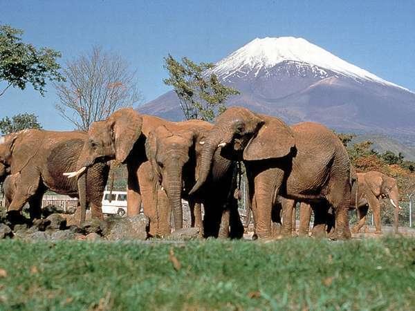 Business Hotel Kanekura Gotemba Eksteriør billede